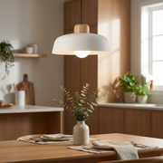 Pendant Light | Modern Dome Design