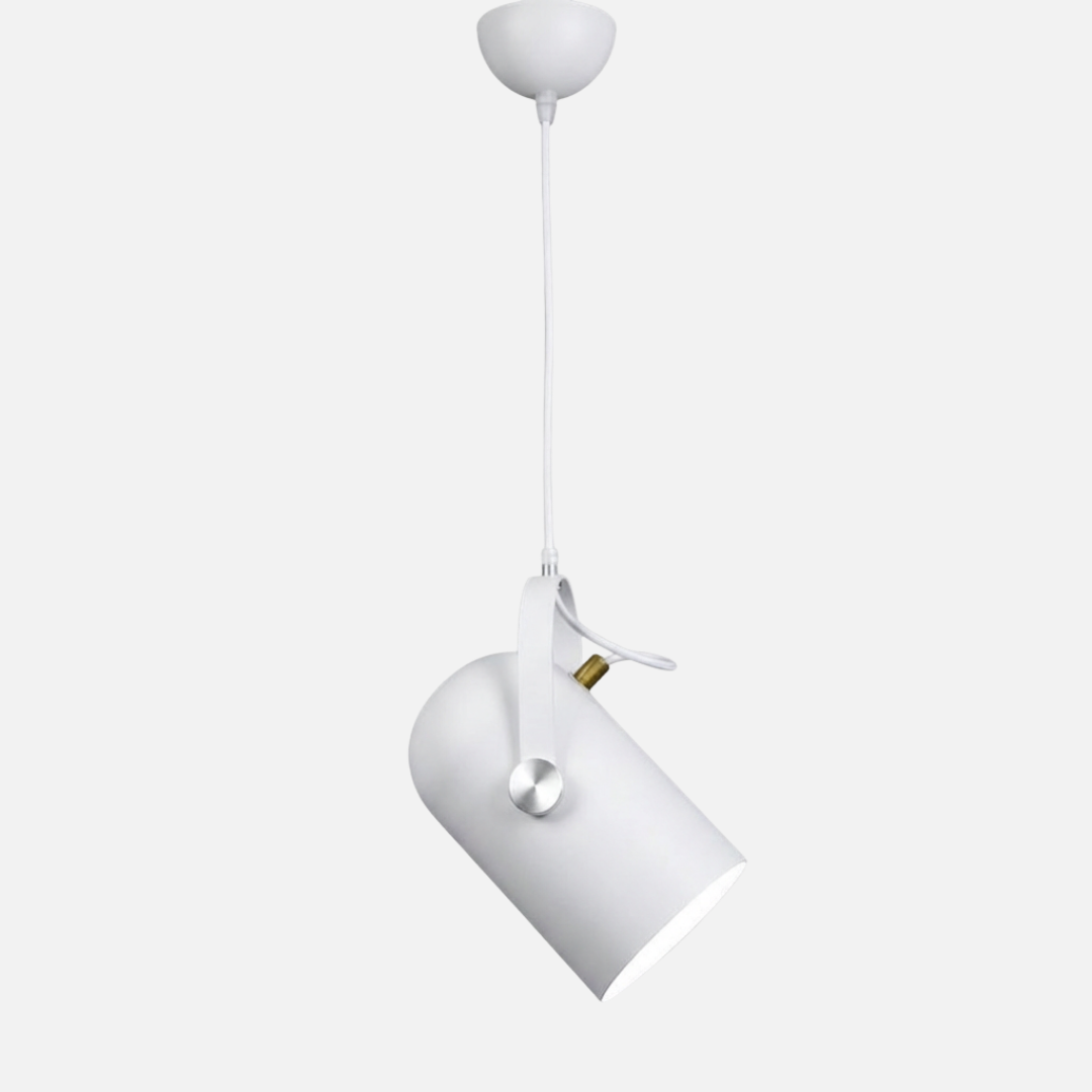 Pendant Light | Adjustable Spot