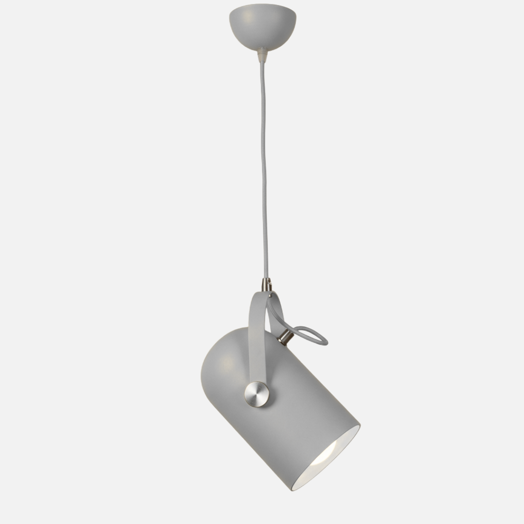 Pendant Light | Adjustable Spot