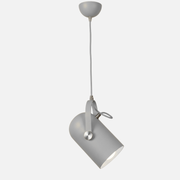 Pendant Light | Adjustable Spot