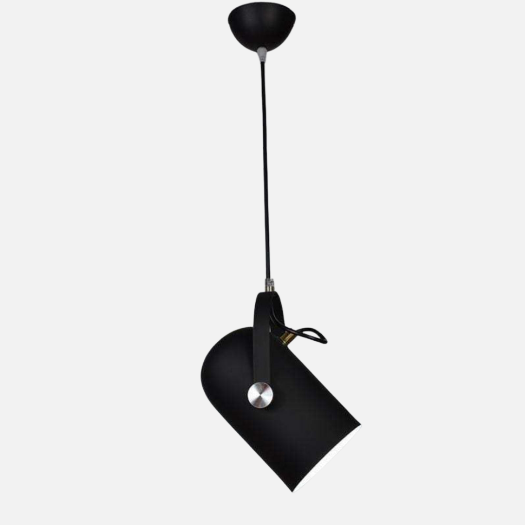 Pendant Light | Adjustable Spot