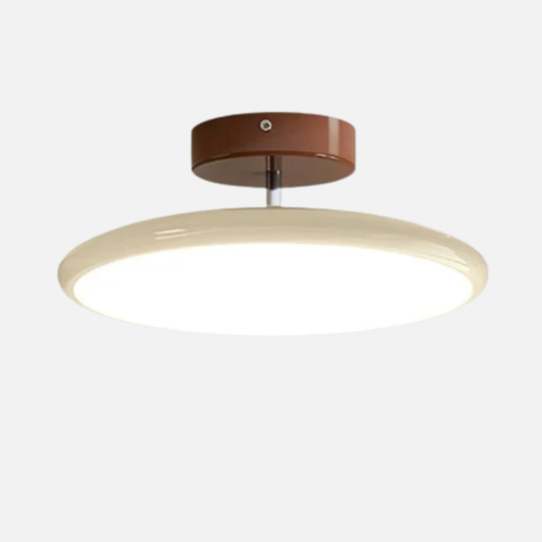 Ceiling Light | Flush Disc