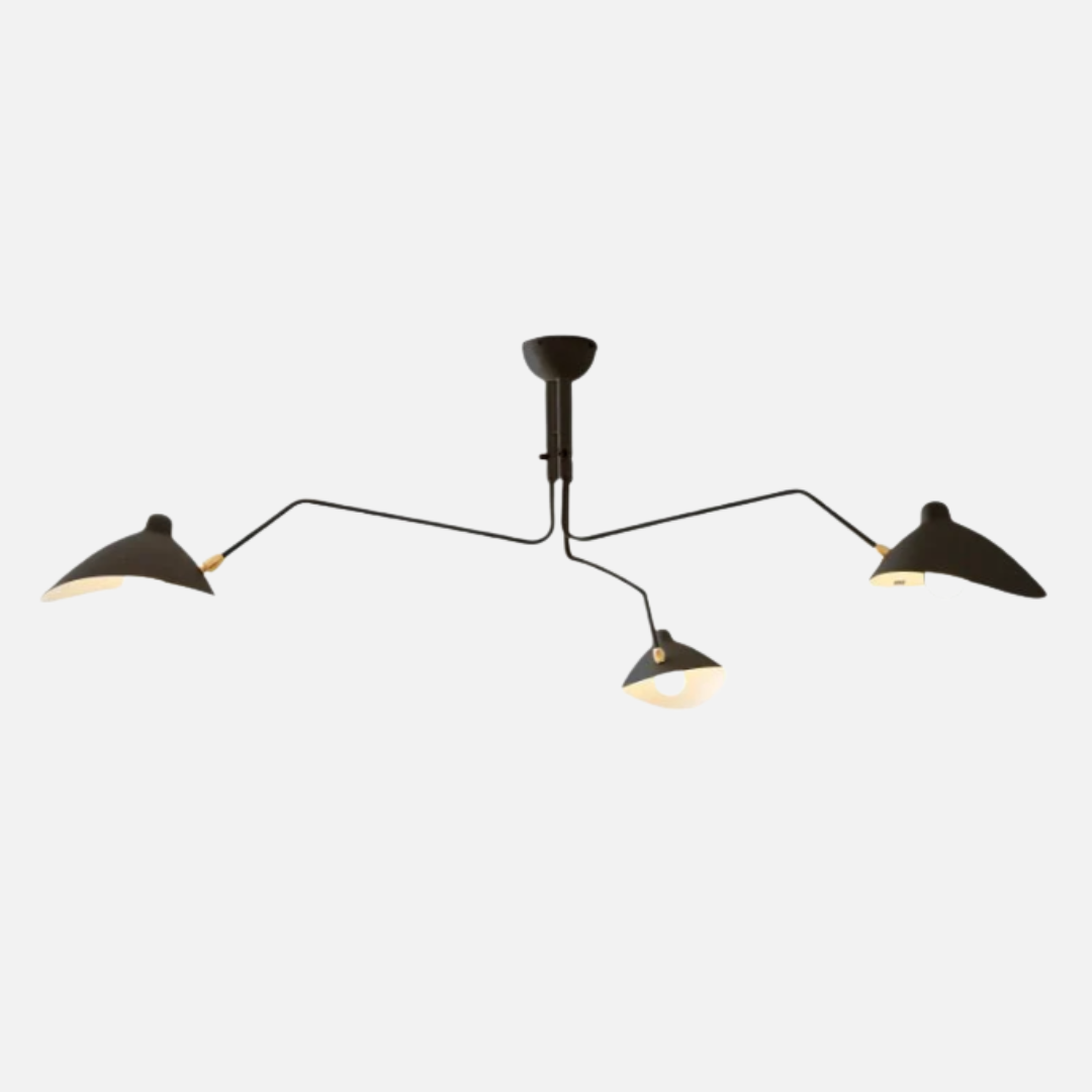 Ceiling Light | Spider Arms