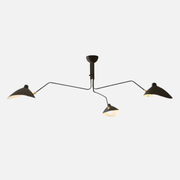 Ceiling Light | Spider Arms