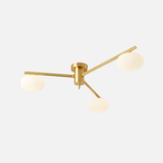 Ceiling Light | Modern Branch