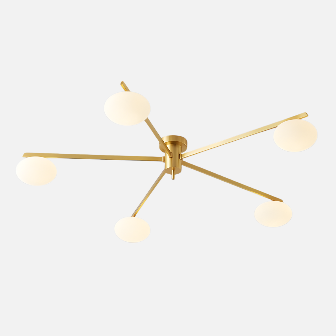 Ceiling Light | Modern Branch