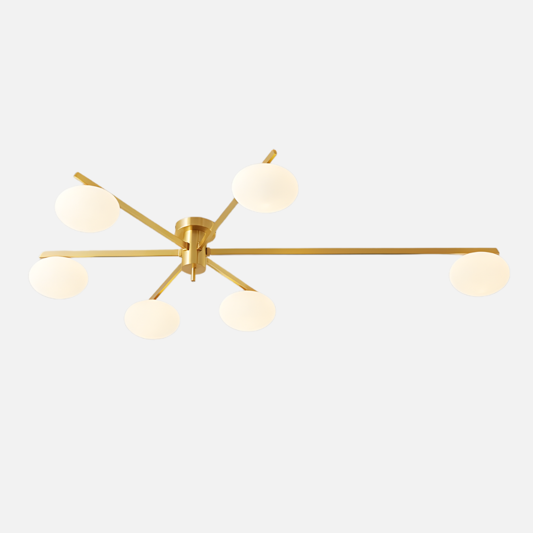 Ceiling Light | Modern Branch