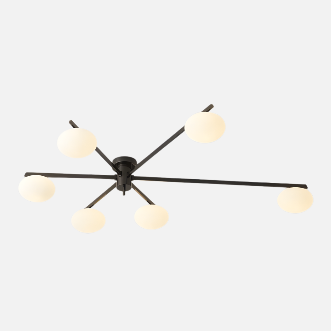 Ceiling Light | Modern Branch