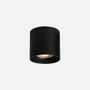 Ceiling Light | Adjustable Cylinder