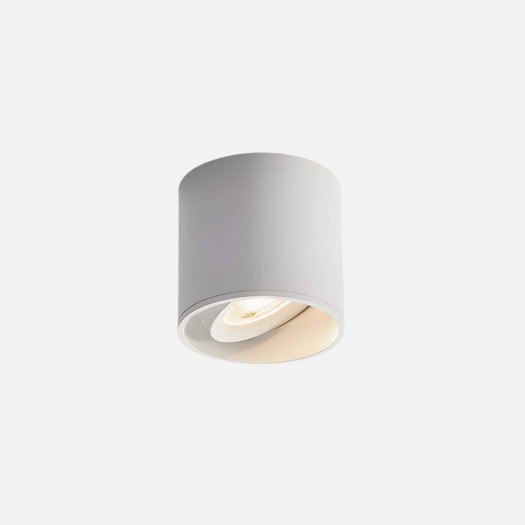 Ceiling Light | Adjustable Cylinder