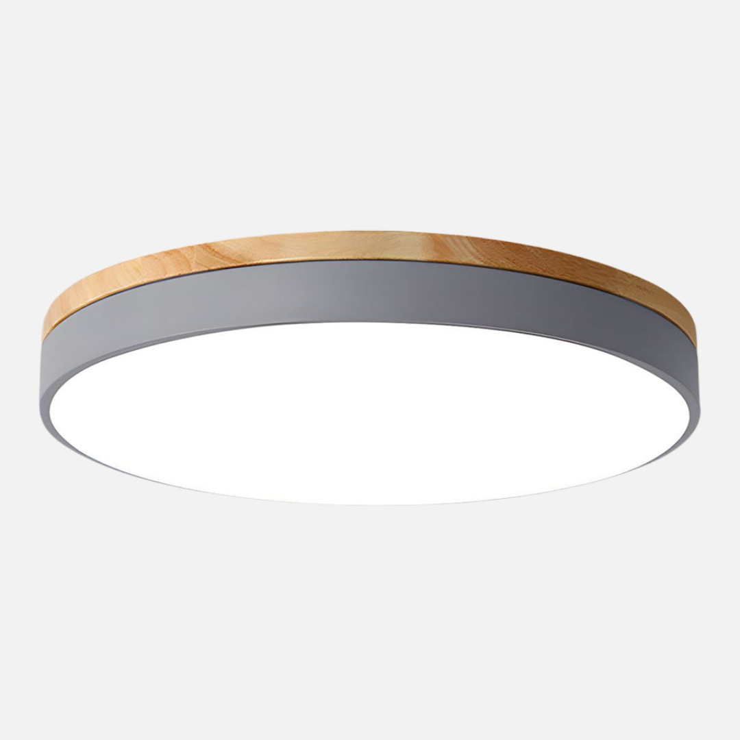Ceiling Light | Circular Panel