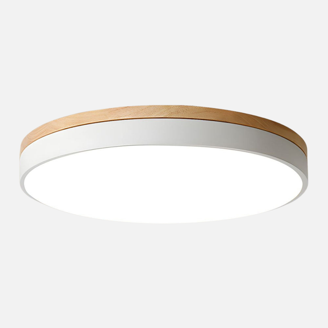 Ceiling Light | Circular Panel