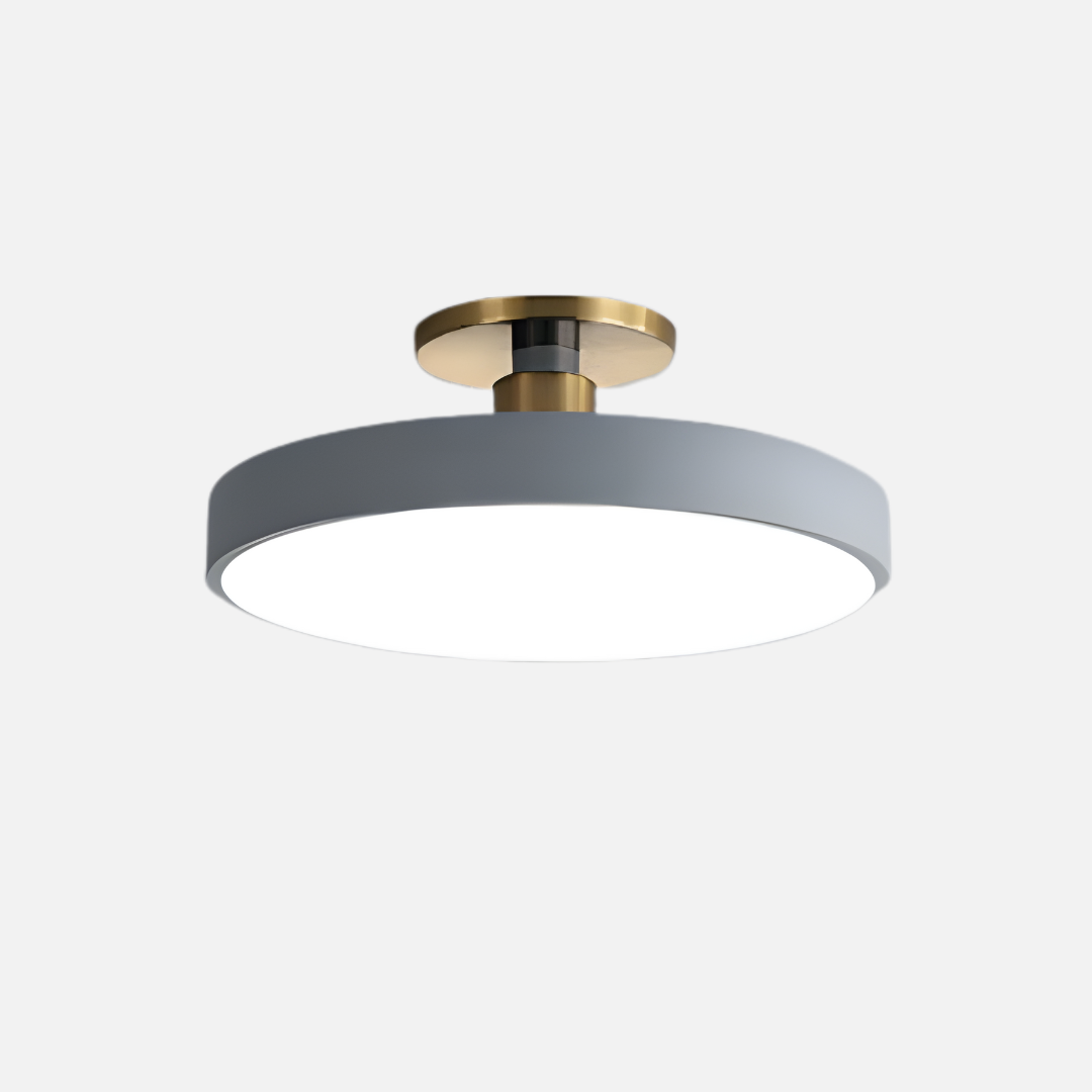 Ceiling Light | Flat Disc