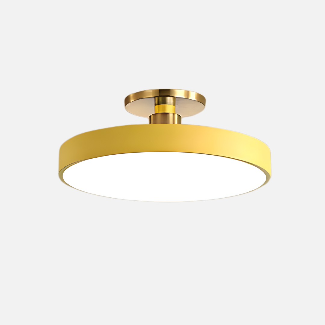 Ceiling Light | Flat Disc