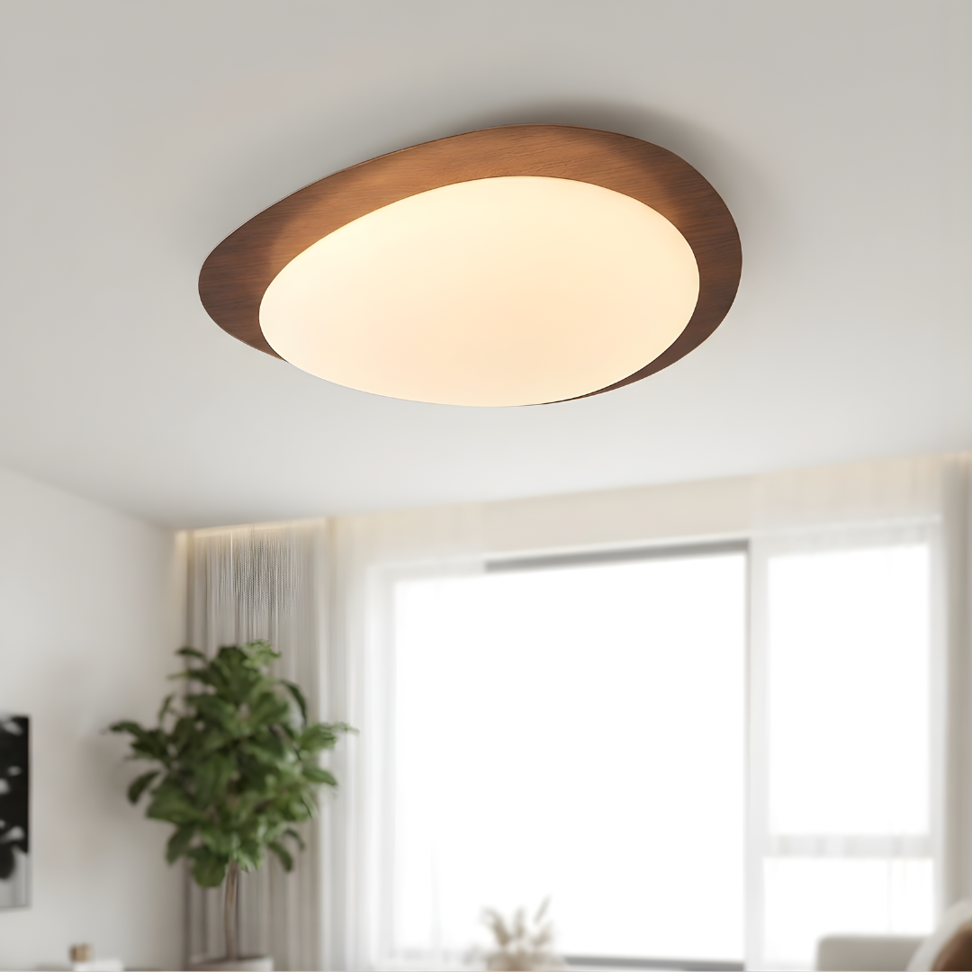 Ceiling Light | Oval Design Ceiling Fixture