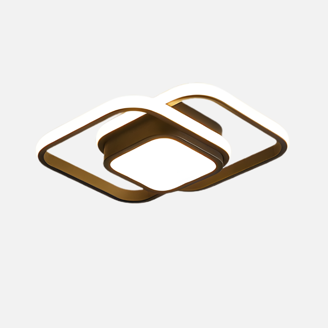 Ceiling Light | Geometric Loop