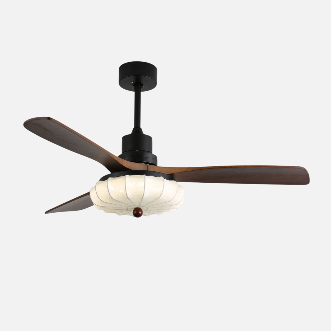 Ceiling Light | Fan Combo