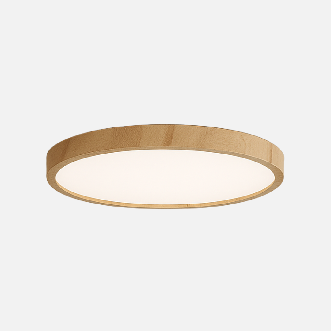 Ceiling Light | Circular Profile